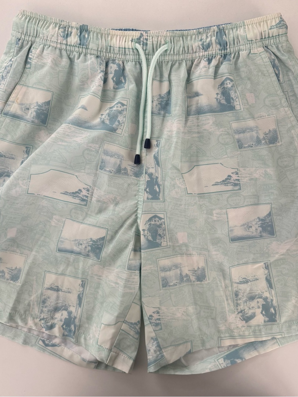 Peter Millar Men's Light Mint Scenic Print Swim Trunks- Medium 7” Inseam